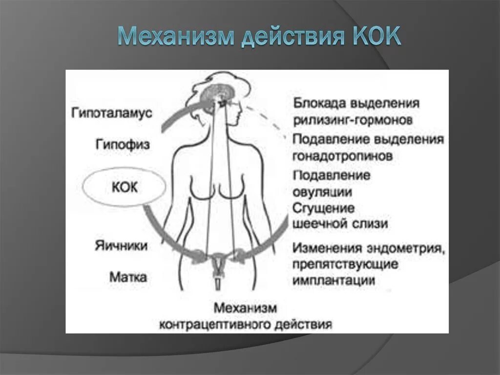 Значение слова кок. Механизм контрацептивного действия Кок. Гормональная контрацепция механизм действия. Механизм действия комбинированных гормональных контрацептивов. Комбинированные оральные контрацептивы механизм действия.