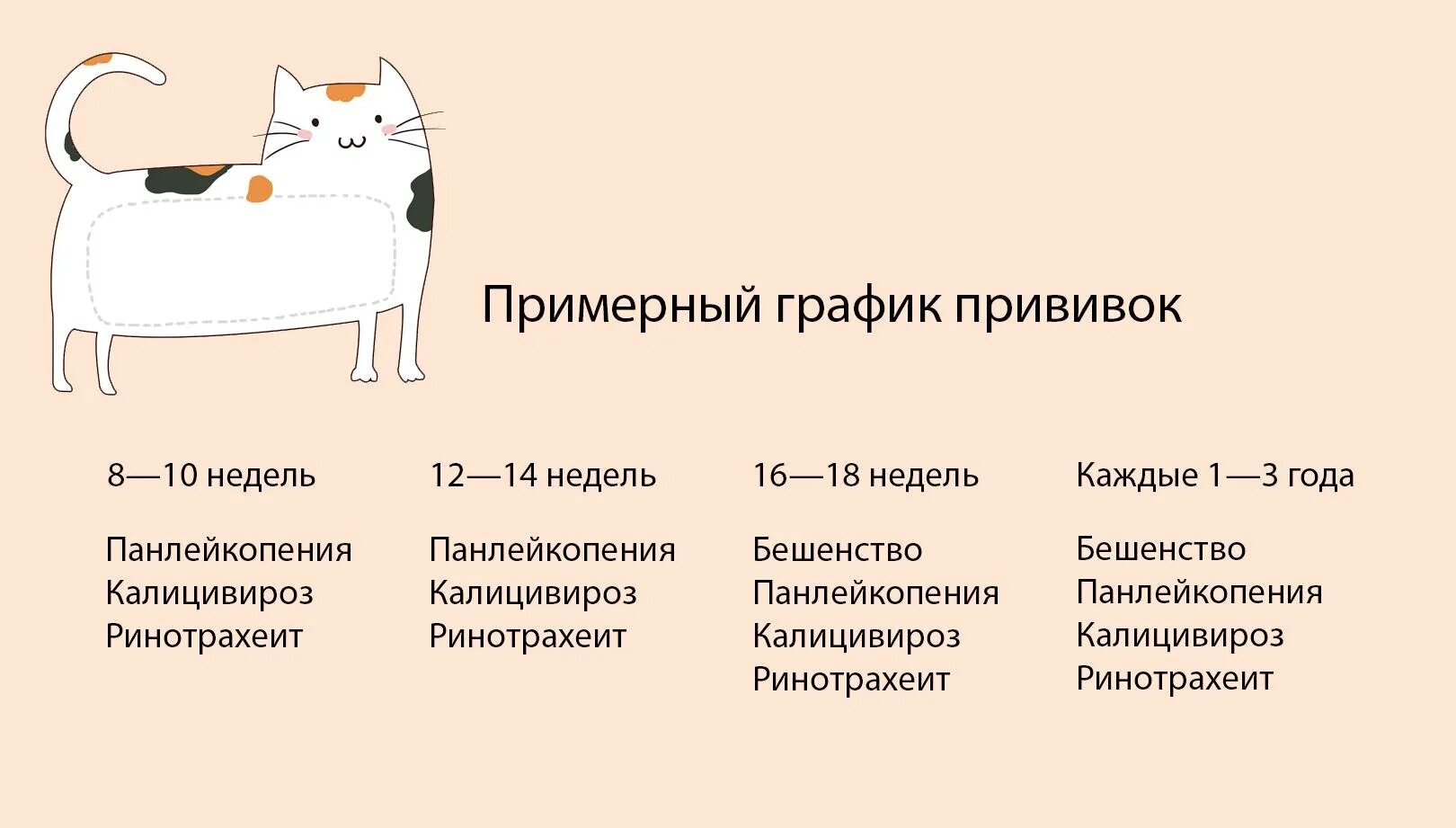 Через сколько можно делать прививку после глистогонки. Какие прививки делают котятам в 2 месяца. Какие прививки делать коту и когда. Реестр прививок для кошек. Какие прививки делают котятам в 1 год.