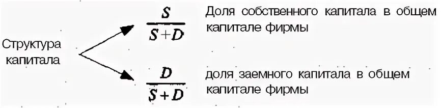 Величина акционерного капитала. Долю собственного капитала в общем капитале.