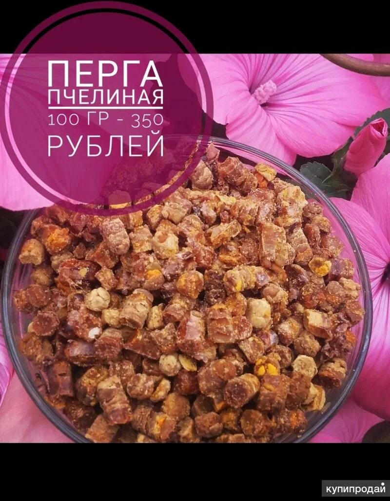 Перга спб. Перга круглая. Пчелиный хлеб перга. Перга спб. Перга извлеченная из сот.