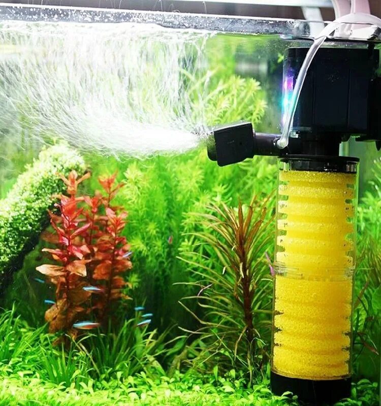 Таблица кислорода для рыб. Компрессор scn8go 220-240 5w для аквариума. Aquael мини аэратор. Кислород в воде и рыба. Кислород в воде и рыба.