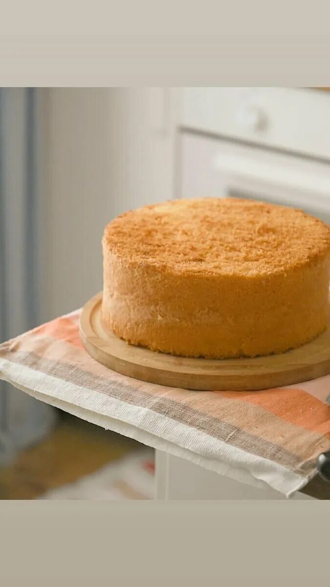 Бисквит в кольце без дна. Выпечка бисквита. кольцо для бисквита. кольцо для выпечки бисквита. форма для бисквита разъемная.