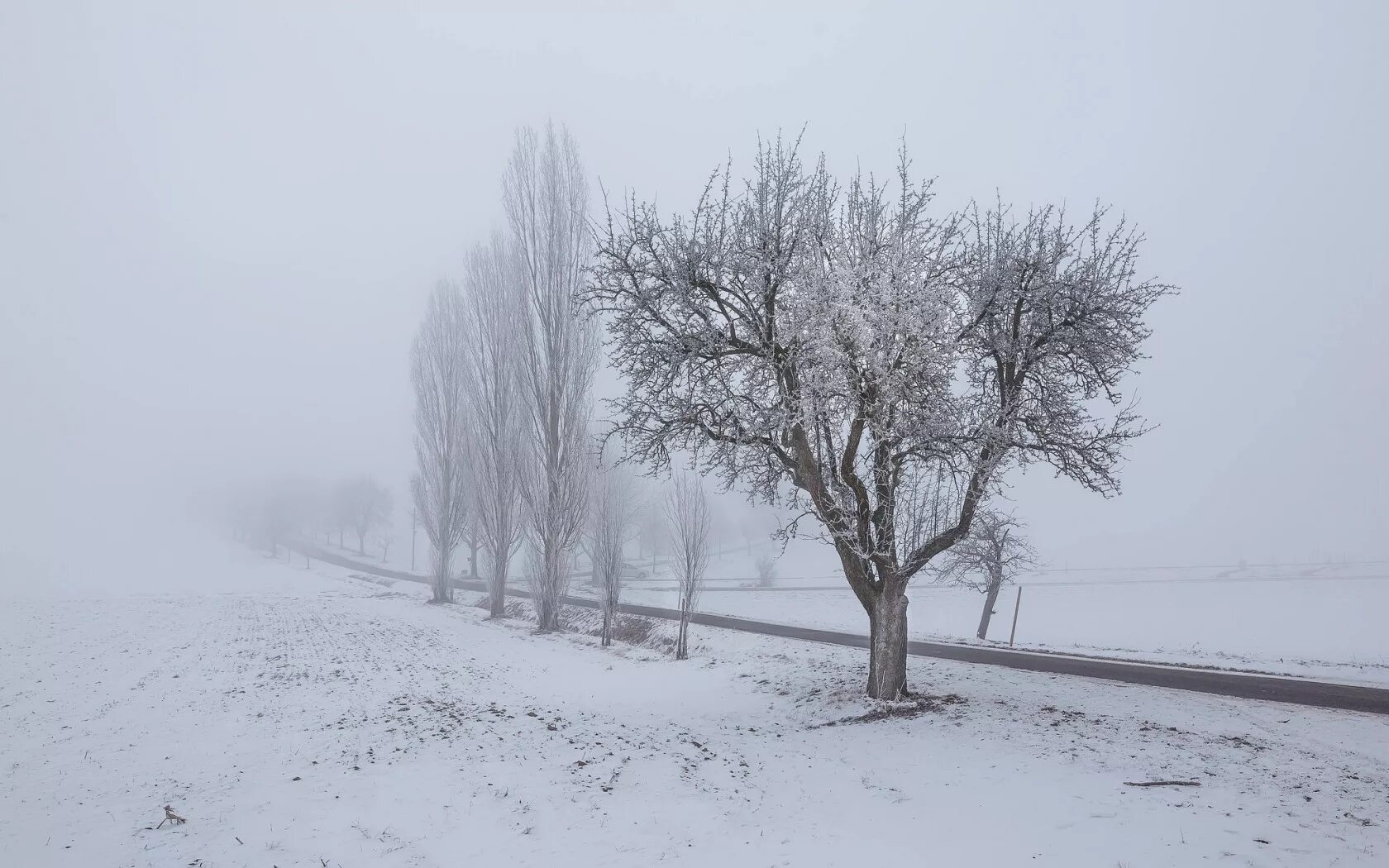 Сильная метель. Дует ветер зимой. Зима метель. Вьюга для детей. Скотт густафсон иллюстрации.