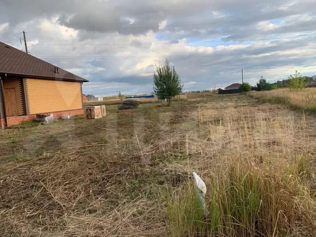 Село мушковатово полевая улица дом 11. Мушковатово рязанская область. Ларино донецк на карте. Рязань погода на 14 поселок мушковатово. Село мушковатово.