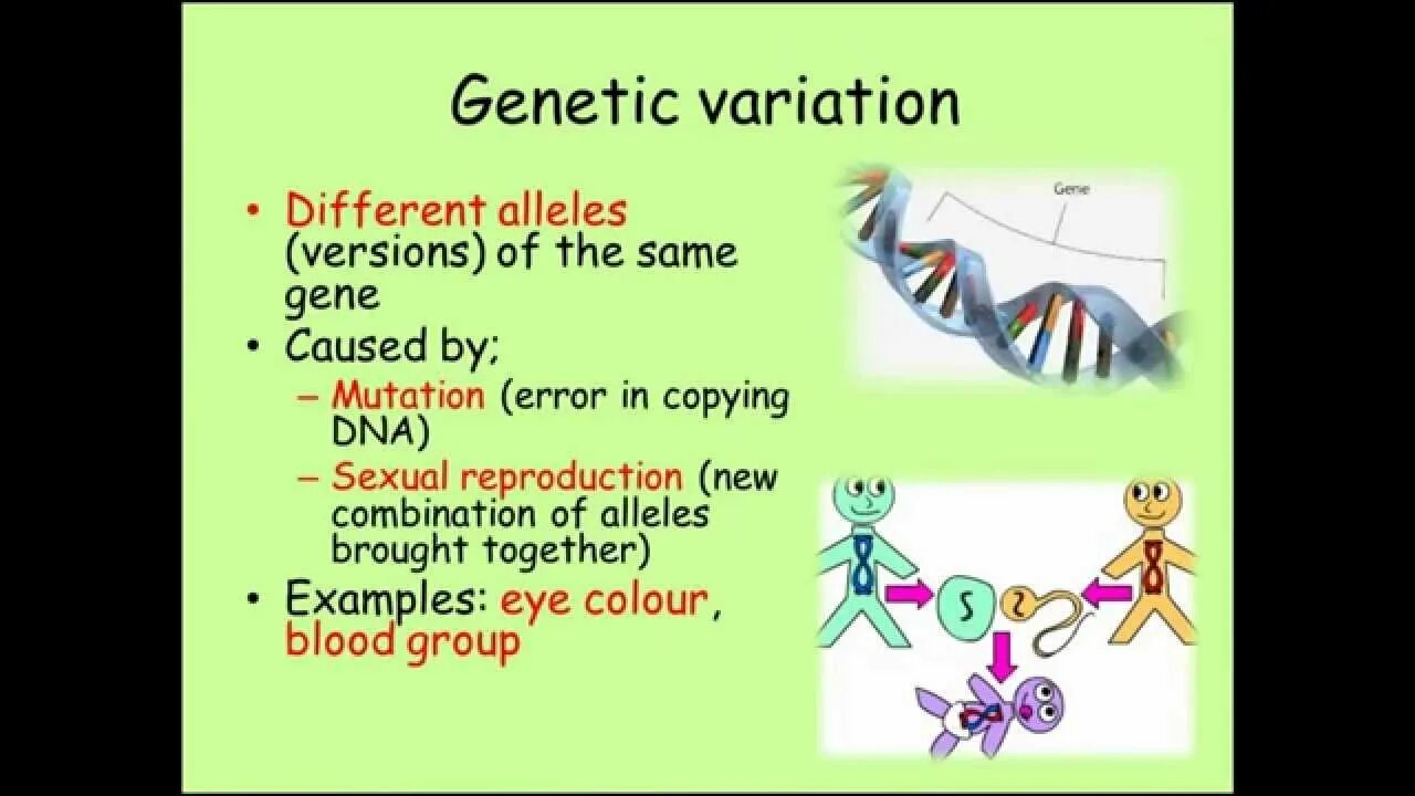 Genetic variation. Biological variation. variability biology giraffes.