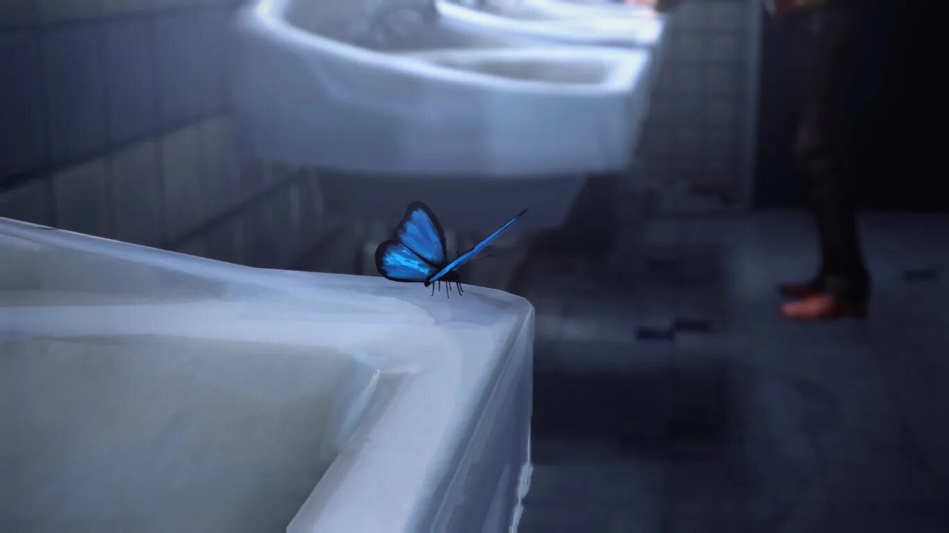 Синяя бабочка Life is Strange. Лайф из Стрэндж бабочка. Синяя бабочка из лайф из Стрендж арт. Life is Strange бабочка снимок. Life is strange последствия