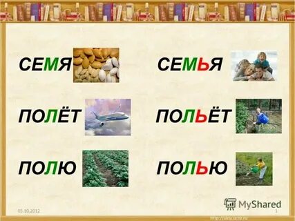 Полит или полет как правильно