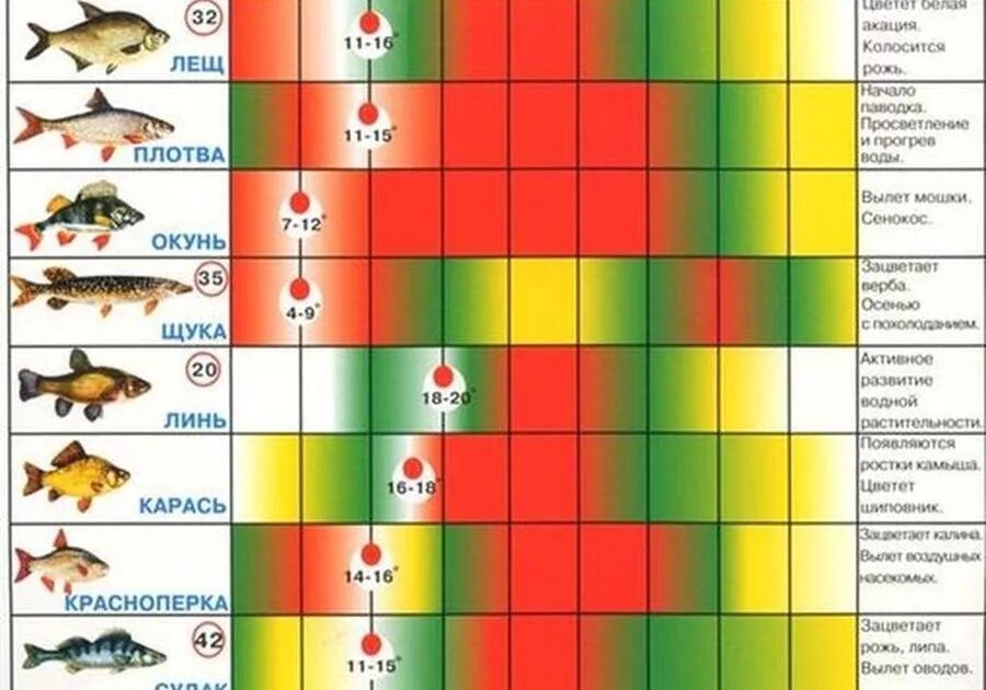 Календарь рыбалки. Календарь рыболова. Рыболовный календарь клёва рыбы. Клев рыбы по месяцам.