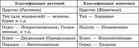 Соподчинение систематических групп классификации растений 7 класс