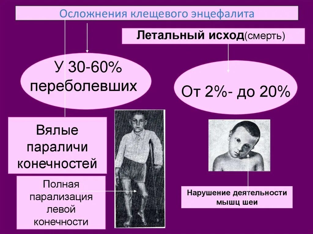 Клещевой энцефалит парез. Потенциальная проблема пациента при клещевом энцефалите риск. Первые клинические проявления клещевого энцефалита. Проблемы пациента при клещевом энцефалите. Дети заболели энцефалитом.