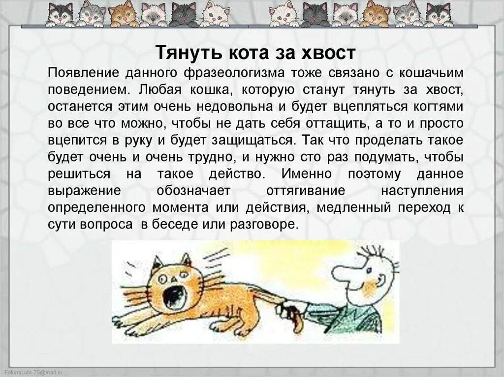 Фраза тянуть кота за хвост. Фразеологизмы про кошек. Фразеологизм тянуть кота за хвост. Кошачьи фразеологизмы.