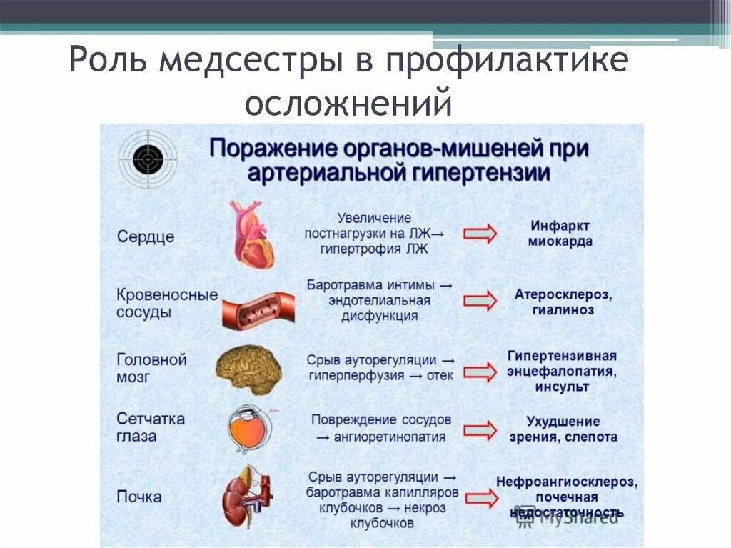 Признаки поражения органов мишени. Симптомы поражения органов мишеней при артериальной гипертензии. Роль медсестры при артериальной гипертензии. Признаки поражения органов мишеней при артериальной гипертензии. Поражение органов-мишеней при артериальной гипертонии.