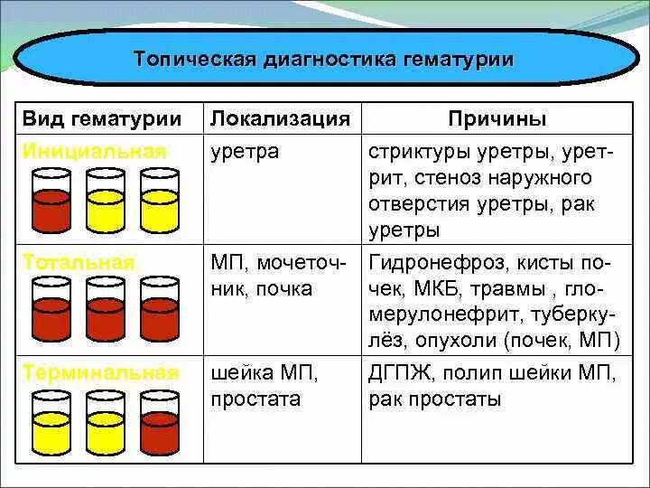 Почечная гематурия диагностика. Гематурия почечная моча. Гематурия инициальная терминальная тотальная. Гематурия классификация.