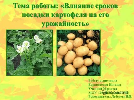 Тема посадки