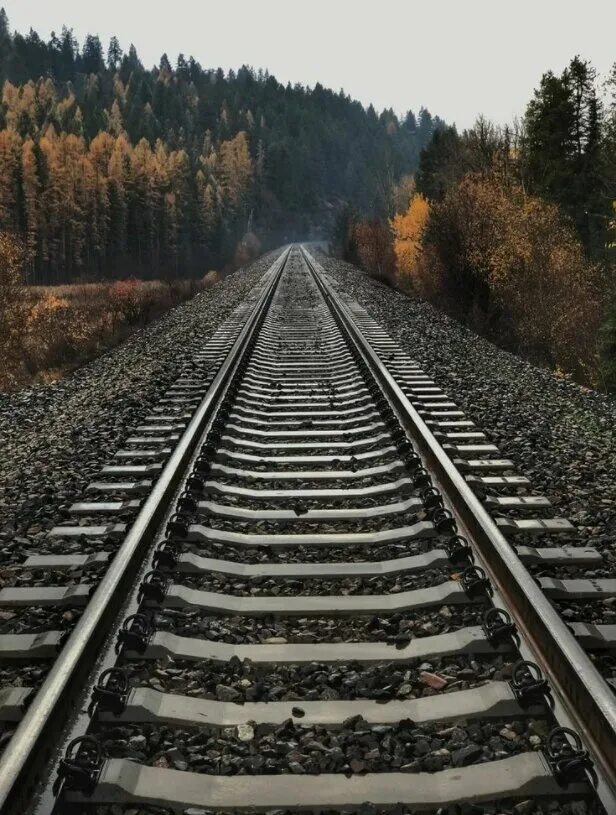 Шли т д ж д. Жд дорога. Поезд с рельсами. Рельсы. Жд пути.