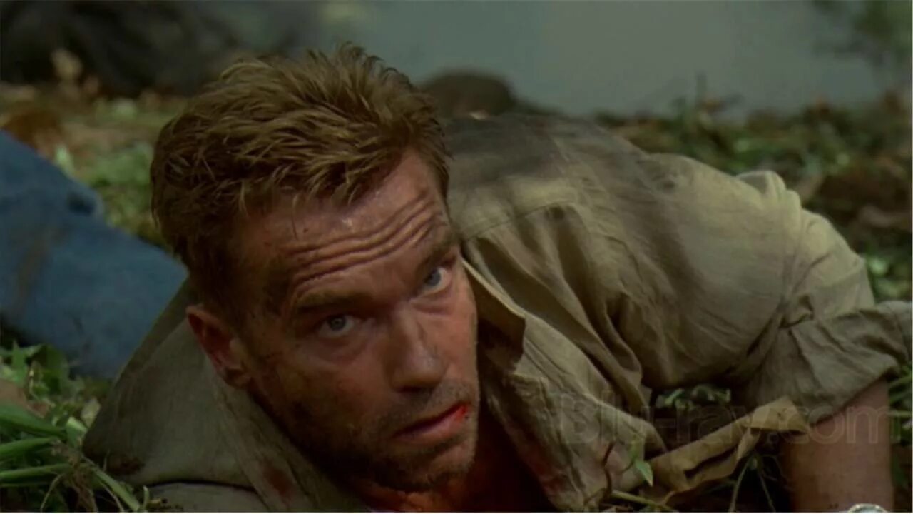 Возмещение ущерба 11. Collateral damage (2002). возмещение ущерба hd(боевик, триллер, драма) 2001. возмещение ущерба collateral damage. шварценеггер 2002.