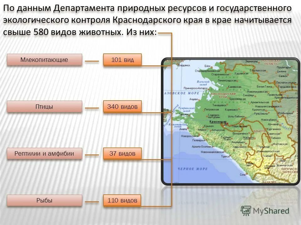 министр природных ресурсов краснодарского края. сайт природных ресурсов краснодарского. министерство экологии краснодарского края. природные ресурсы краснодарского края. ресурсы краснодарского края география.