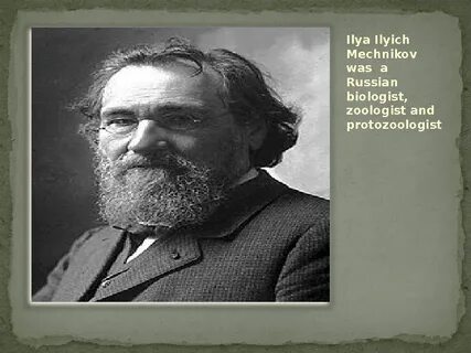 Научная деятельность мечникова