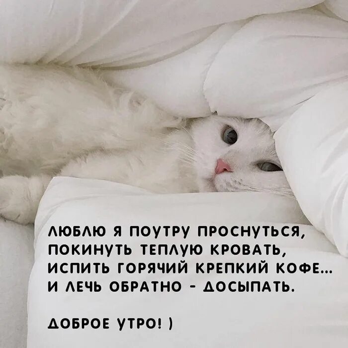 Проснись что значит не люблю. Проснись что значит не люблю. Сообщение полученное утром. Проснись что значит не люблю. Доброе утро кто рано встает.