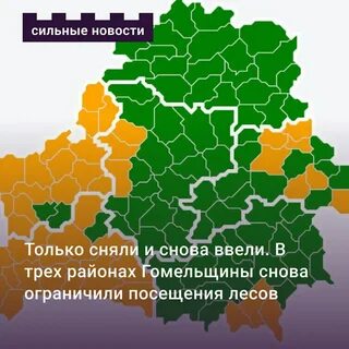 Карта запрета леса 2024