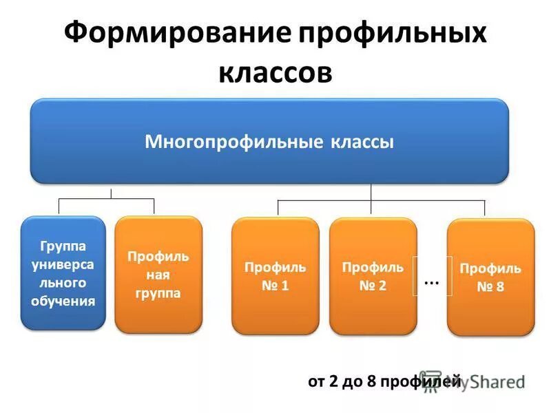 Формирование профильных классов. Профильные группы. Положение о создании предпрофильных классов. Профильные классы 9 класс. Формирование профильных классов.