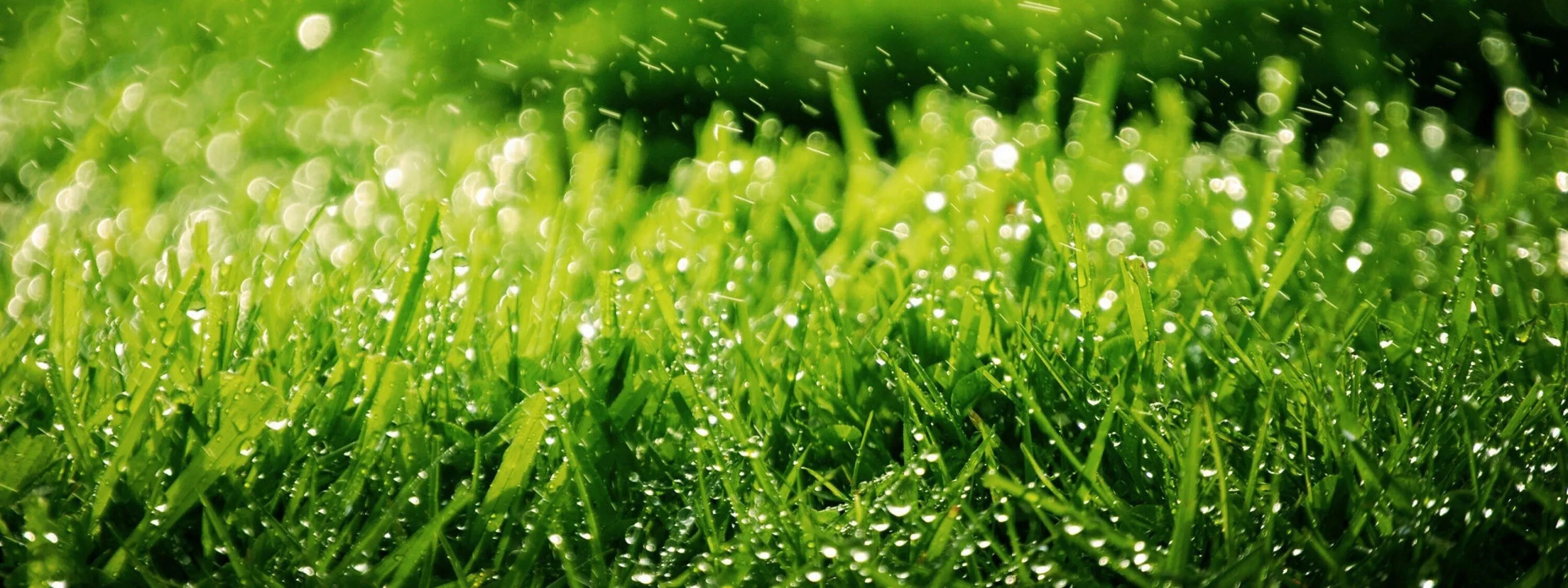 Ромашки и небо. Ромашки обложка. Лету contact. Ноги в цветах. Лету contact.