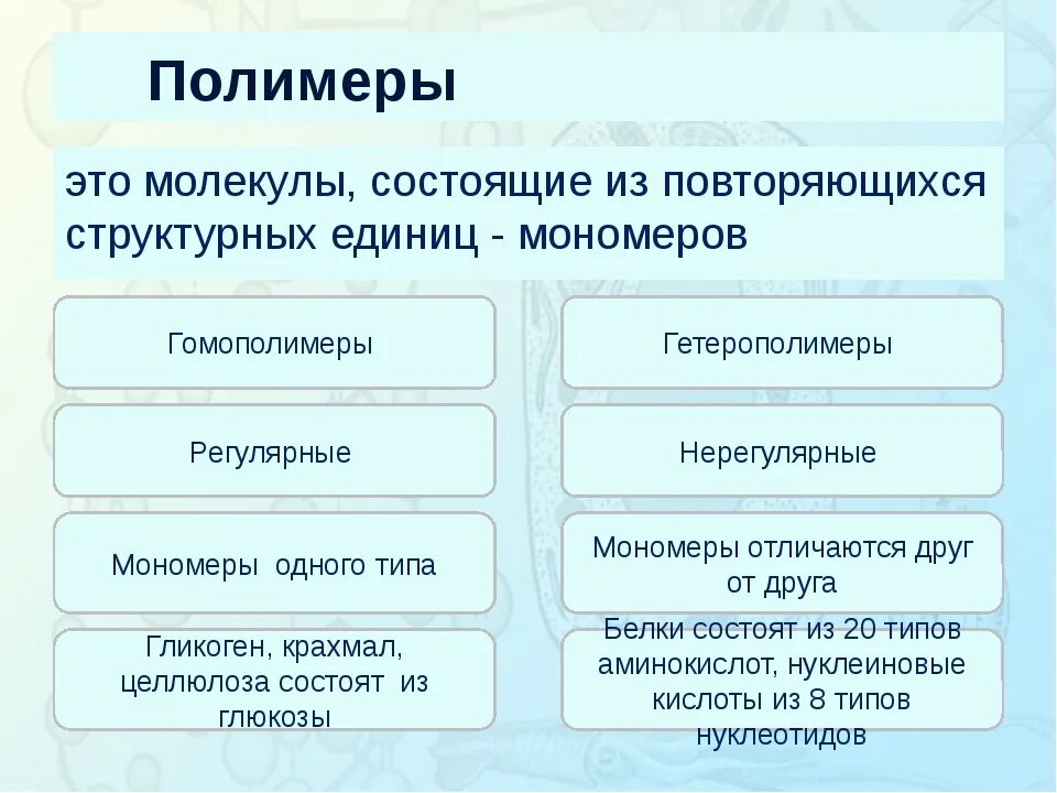 Выберите биополимеры. Полимеры это в биологии. Полимеры и мономеры таблица. Полимеры примеры биология. Мономеры и полимеры примеры.