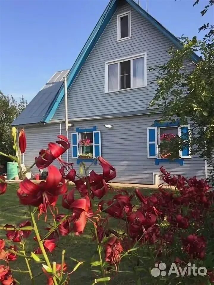 Дом в Березовке. Алтайский край, Первомайский р-н, пос. Бажево, Полевая ул., 2. Алтайский край Первомайский район Бажово недвижимость.