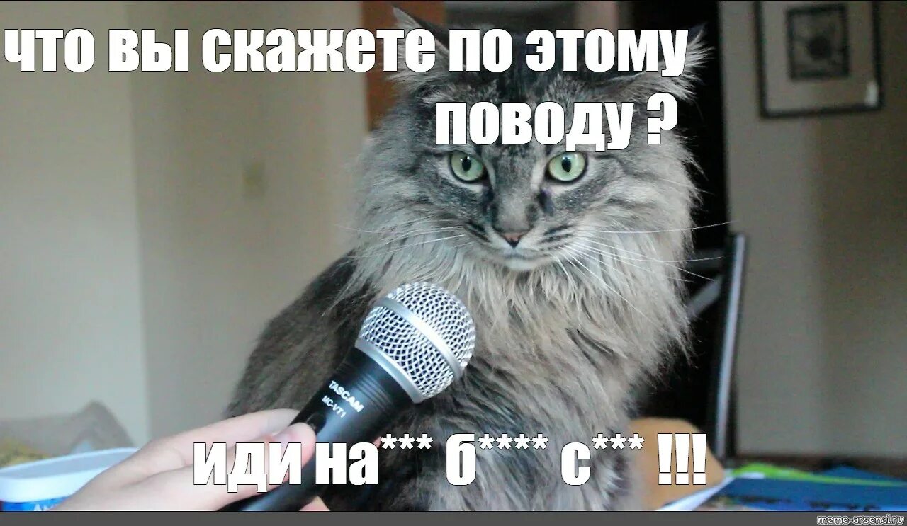 Сообщить закончиться
