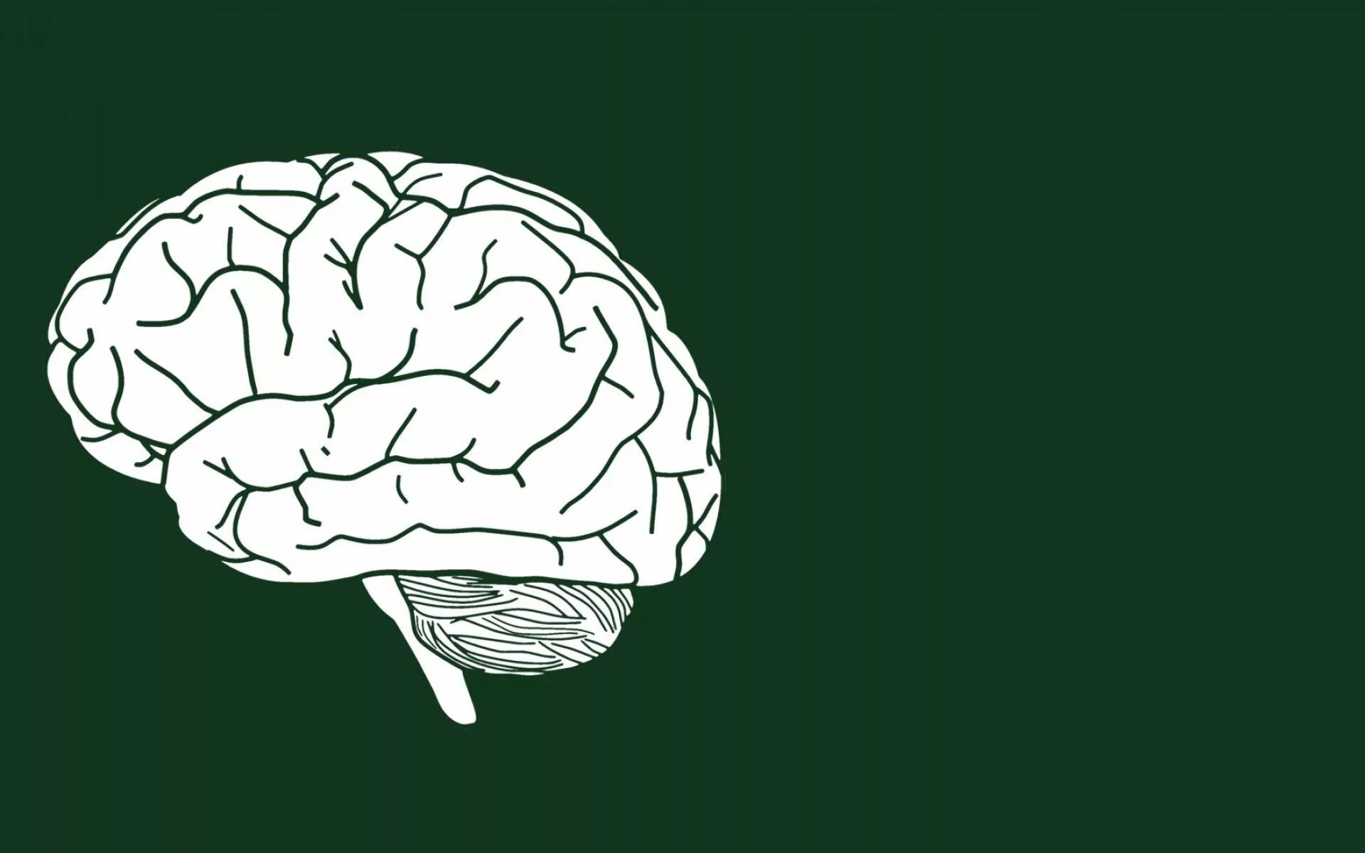Фон с мозгами. Минималистичный мозг. Мозги Минимализм. Мозг картинка.
