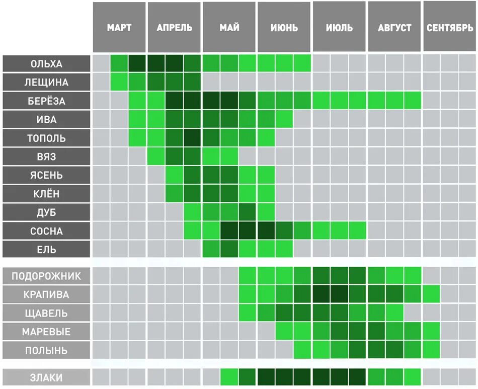 Карта пыльцы березы. Поллиноз периоды цветения. Календарь цветения. Поллиноз календарь цветения. Календарь цветения растений.