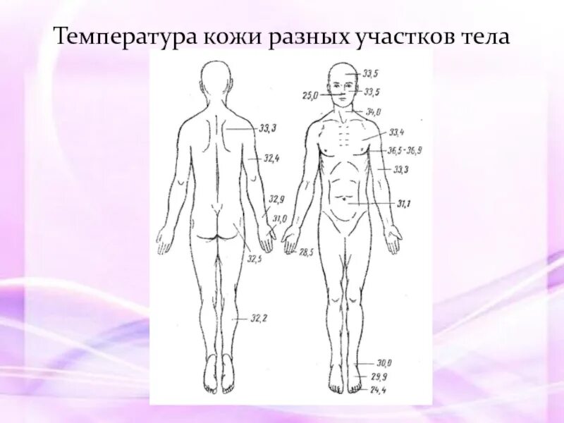 Температура кожных покровов