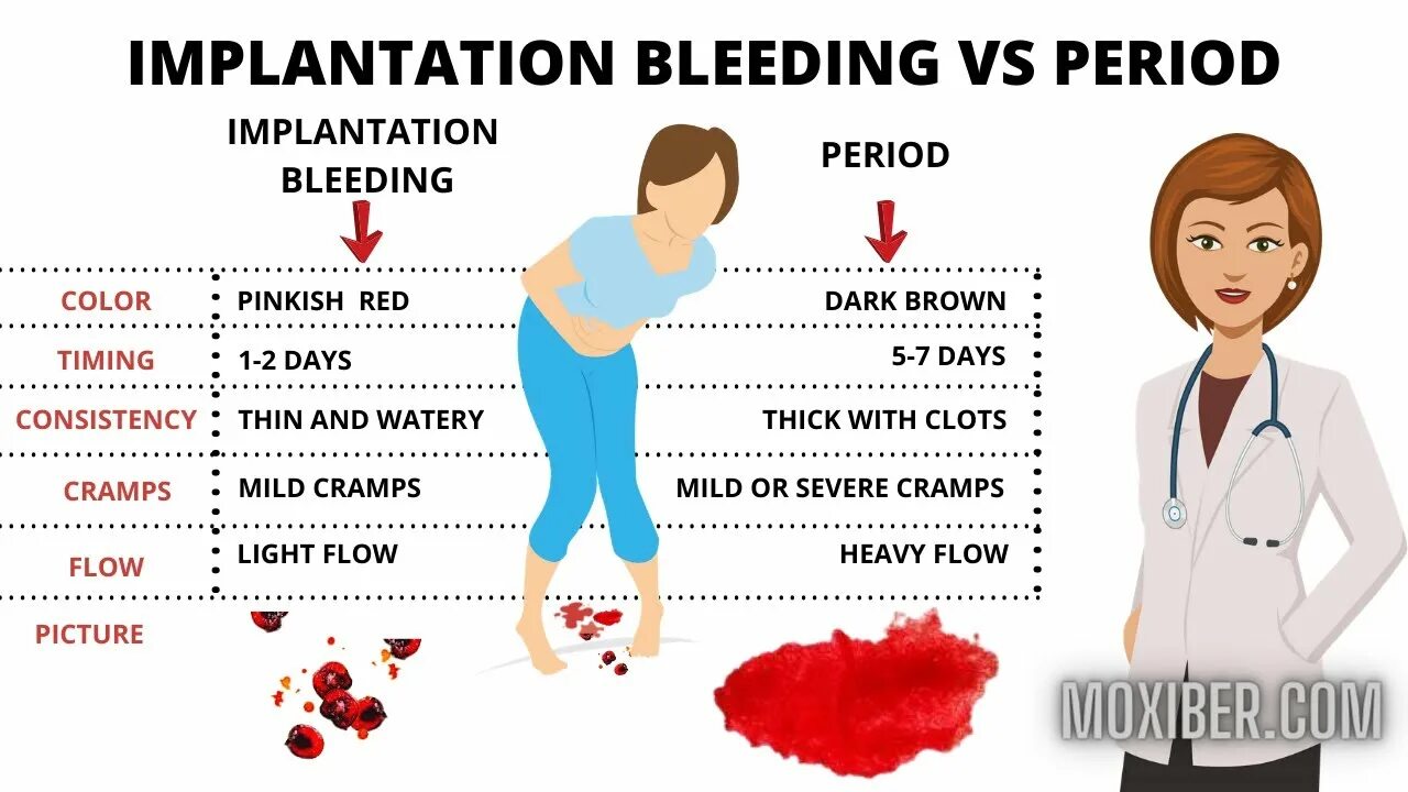 Bleed формы. Bleed формы