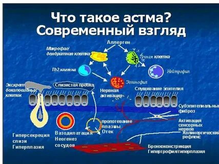 Аллергоз