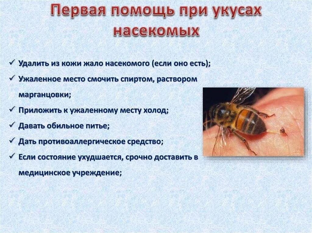 Если тебя укусила оса впр. Помощь при укусах насекомых. Первая помощь при укусах насекомых. Первая помощь при укусе ядовитых насекомых. Первая помощь при укусах змей и насекомых.