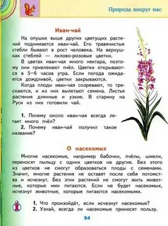 Сказка окружающий мир 2 класс