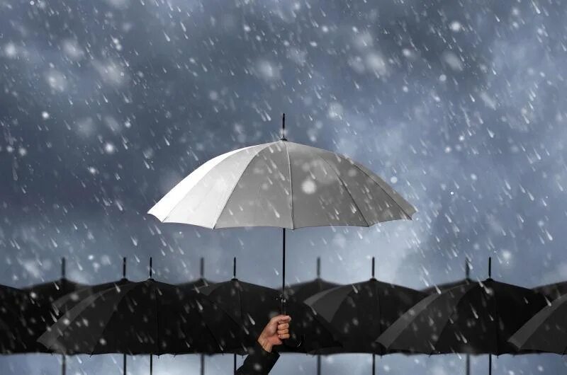Eat and rain