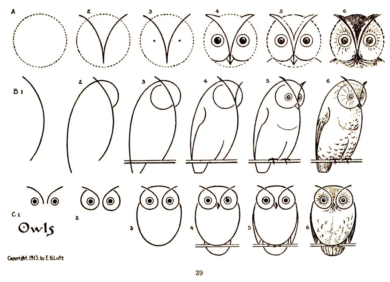 Учимся рисовать уроки. Сова рисунок. Как нарисовать сову. Легкие рисунки. Рисунки для срисовки лёгкие.