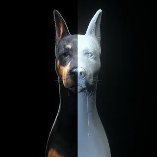 Dobermans 3d