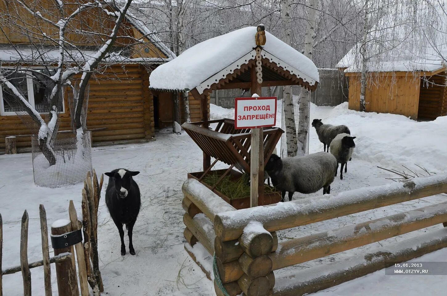 Зоопарк лимпопо зимой. Зоопарк лимпопо зимой. Лимпопо нижний новгород животные. Лимпопо нижний новгород зимой. Зоопарк лимпопо нижний новгород.