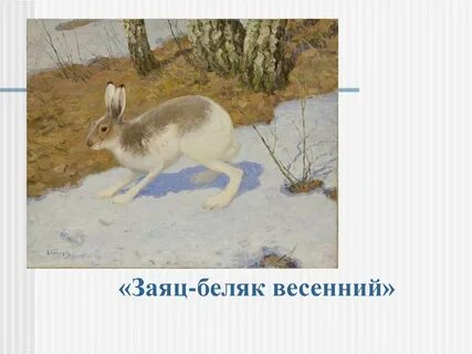 На рисунке изображен заяц