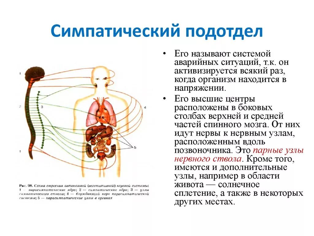 Года вся система находится