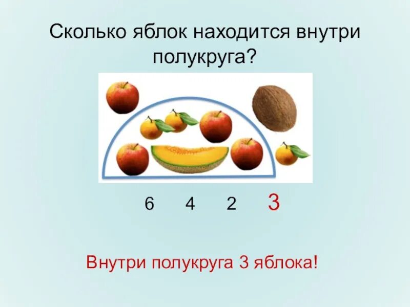 Сколько яблок. Сколько всего яблок 1 класс. Что находится внутри яблока. Количество яблоней.