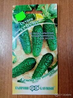 Огурцы сорт муму