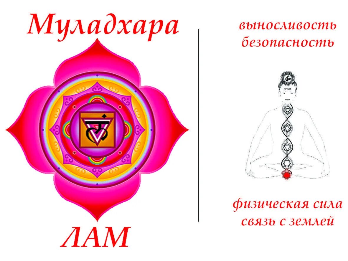 Чакра муладхара раскрытие. Муладхара биджа. биджа мантра муладхара чакры. кундалини муладхара чакра.
