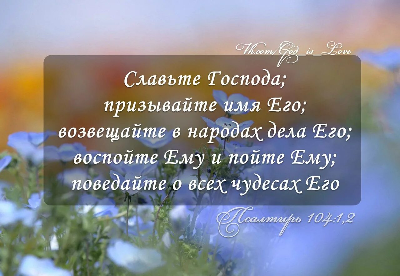 Славим бога песни. Славьте Бога Библия. Славьте Господа призывайте имя его возвещайте в народах дела его. Библия Господь славы. Стихи из Библии о чудесах.