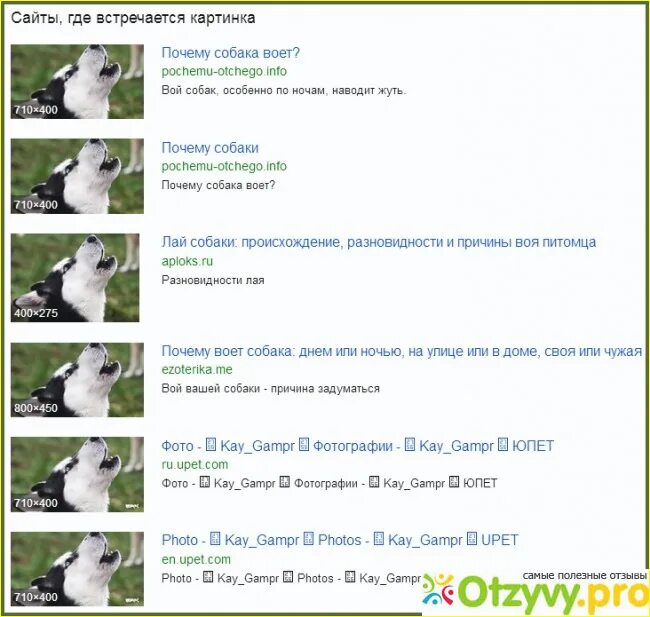 Почему выл