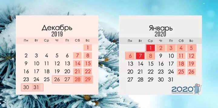 Сколько до 20 января. Календарь на декабрь для детей. Когда зимние каникулы в декабре. Календарь декабрь зима праздник. Фото календаря декабрь детский.