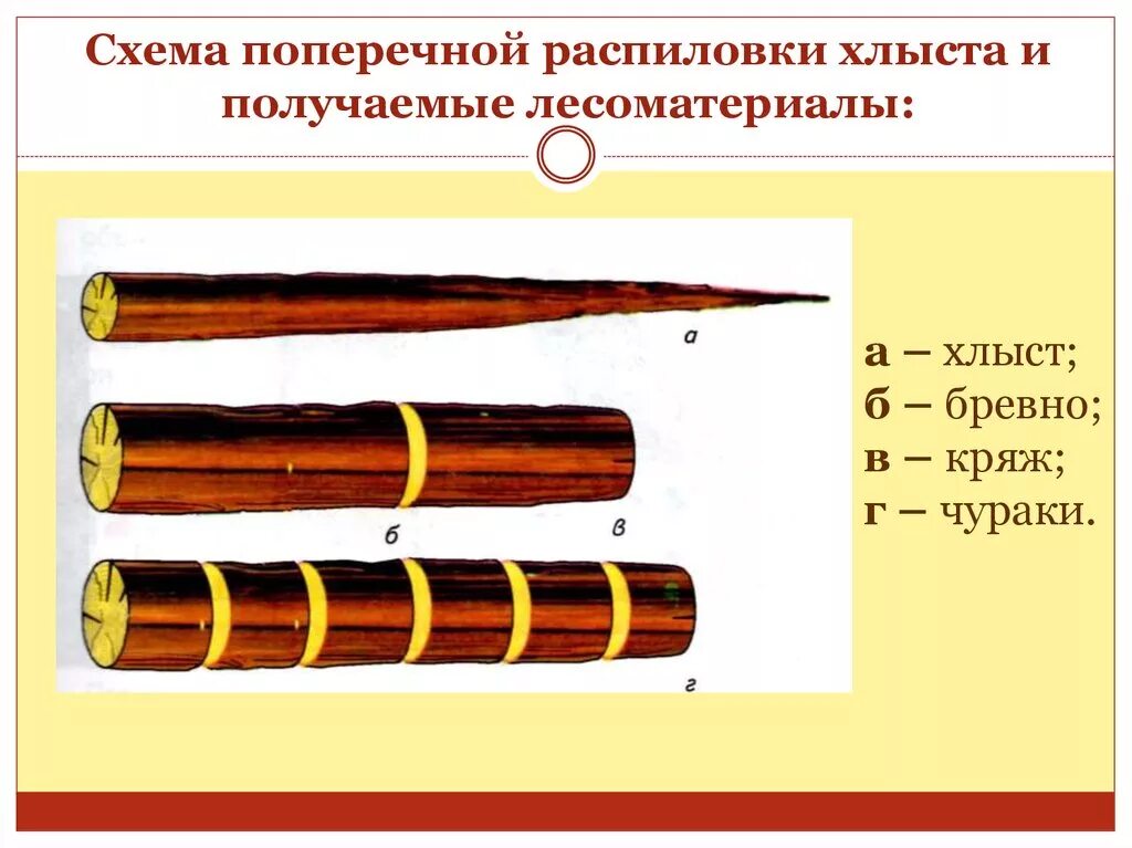 При распиловке бревна получают