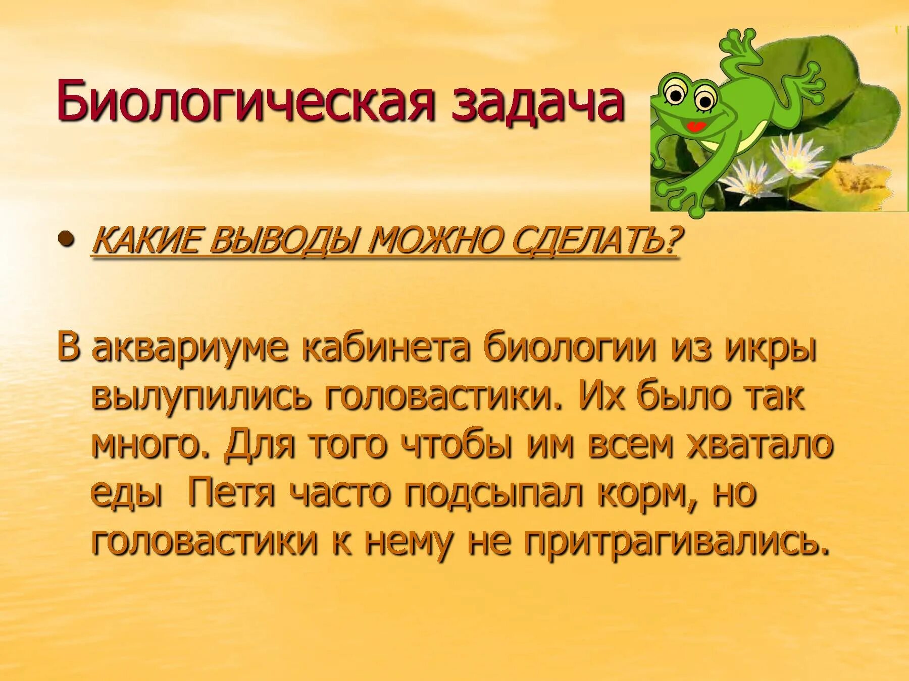 Земноводные как они размножаются 1 класс. Размножение земноводных 7 класс биология. Сообщение о размножении земноводных 5-7 предложений. ВПР 7 класс земноводные размножение. Сообщение о размножении Земноводный 5-7 предложений.